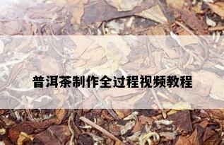 普洱茶制作全过程视频教程