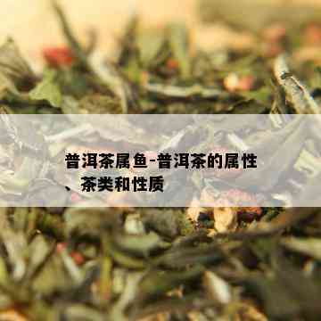 普洱茶属鱼-普洱茶的属性、茶类和性质