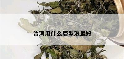 普洱用什么壶型泡更好