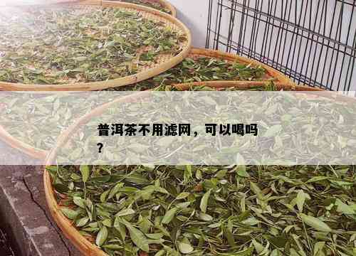 普洱茶不用滤网，可以喝吗？