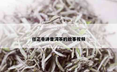 任正非讲普洱茶的故事视频