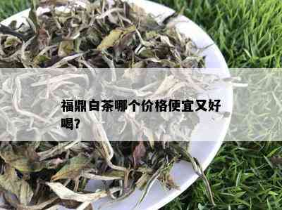 福鼎白茶哪个价格便宜又好喝？