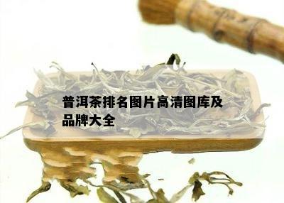 普洱茶排名图片高清图库及品牌大全