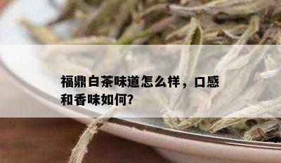 福鼎白茶味道怎么样，口感和香味如何？