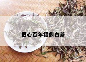 匠心百年福鼎白茶