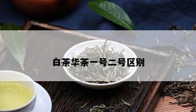 白茶华茶一号二号区别