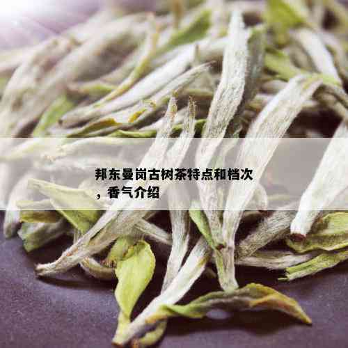 邦东曼岗古树茶特点和档次，香气介绍