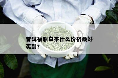 普洱福鼎白茶什么价格更好买到？