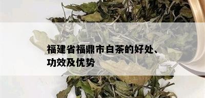 福建省福鼎市白茶的好处、功效及优势