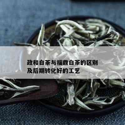 政和白茶与福鼎白茶的区别及后期转化好的工艺