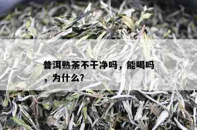 普洱熟茶不干净吗，能喝吗，为什么？