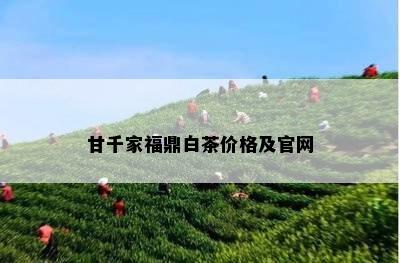 甘千家福鼎白茶价格及官网