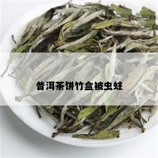 普洱茶饼竹盒被虫蛀