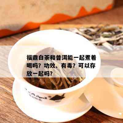 福鼎白茶和普洱能一起煮着喝吗？功效、有？可以存放一起吗？