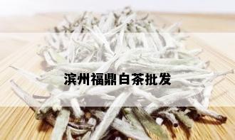 滨州福鼎白茶批发