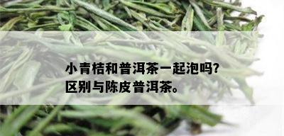 小青桔和普洱茶一起泡吗？区别与陈皮普洱茶。