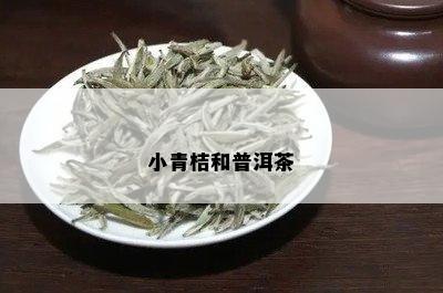 小青桔和普洱茶