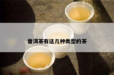 普洱茶有这几种类型的茶