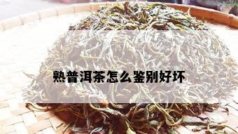 熟普洱茶怎么鉴别好坏