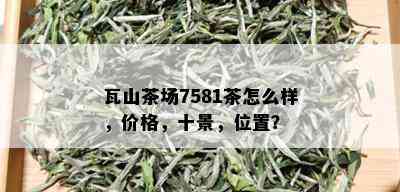 瓦山茶场7581茶怎么样，价格，十景，位置？