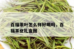 百福茶叶怎么样好喝吗，百福茶业礼盒图