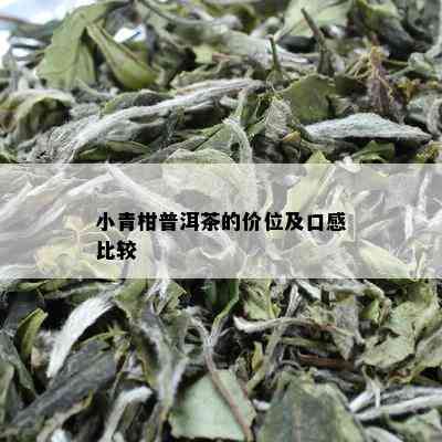 小青柑普洱茶的价位及口感比较