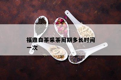 福鼎白茶采茶周期多长时间一次