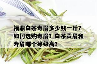 福鼎白茶寿眉多少钱一斤？如何选购寿眉？白茶贡眉和寿眉哪个等级高？