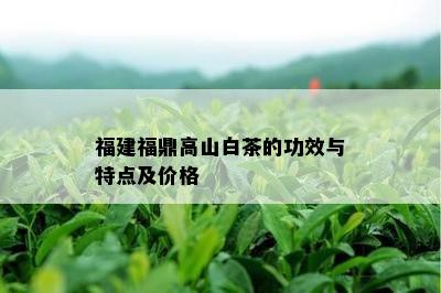 福建福鼎高山白茶的功效与特点及价格