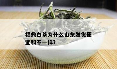 福鼎白茶为什么山东发货便宜和不一样？