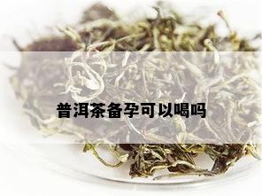 普洱茶备孕可以喝吗