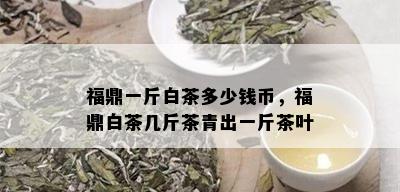 福鼎一斤白茶多少钱币，福鼎白茶几斤茶青出一斤茶叶