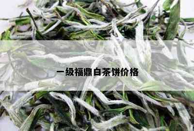 一级福鼎白茶饼价格