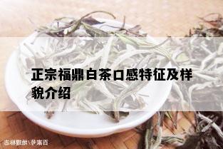 正宗福鼎白茶口感特征及样貌介绍