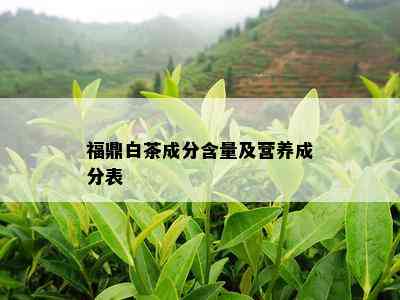 福鼎白茶成分含量及营养成分表