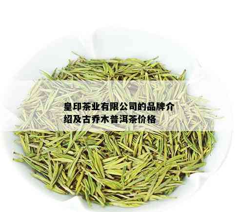 皇印茶业有限公司的品牌介绍及古乔木普洱茶价格