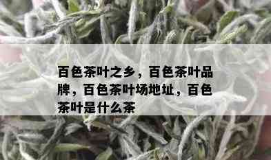 百色茶叶之乡，百色茶叶品牌，百色茶叶场地址，百色茶叶是什么茶