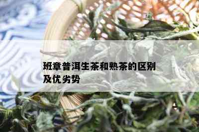 班章普洱生茶和熟茶的区别及优劣势