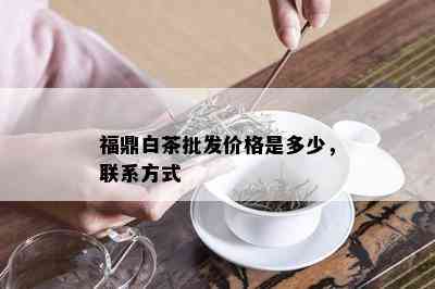 福鼎白茶批发价格是多少，联系方式