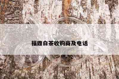 福鼎白茶收购商及电话