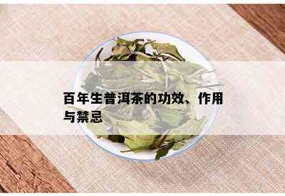 百年生普洱茶的功效、作用与禁忌