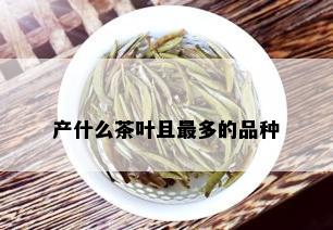 产什么茶叶且最多的品种