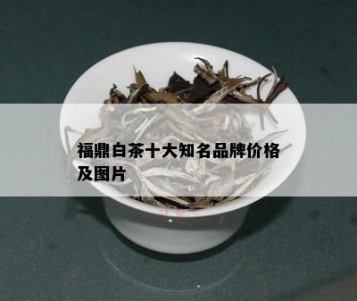 福鼎白茶十大知名品牌价格及图片