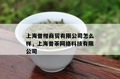 上海普柑商贸有限公司怎么样，上海普茶网络科技有限公司