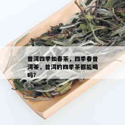 普洱四季如春茶，四季春普洱茶，普洱的四季茶都能喝吗？