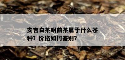 安吉白茶明前茶属于什么茶种？价格如何鉴别？