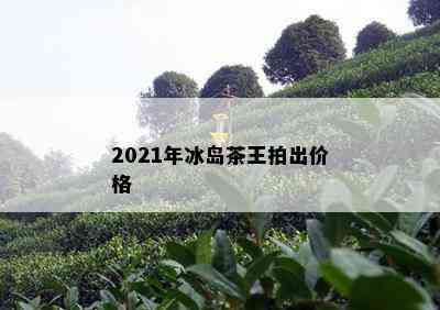 2021年冰岛茶王拍出价格