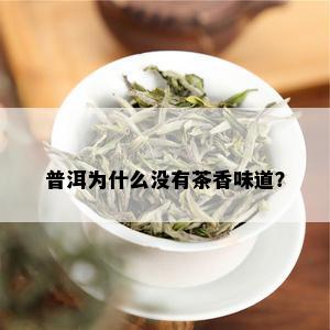 普洱为什么没有茶香味道？