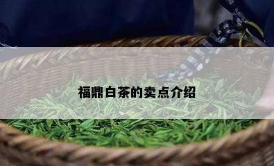 福鼎白茶的卖点介绍