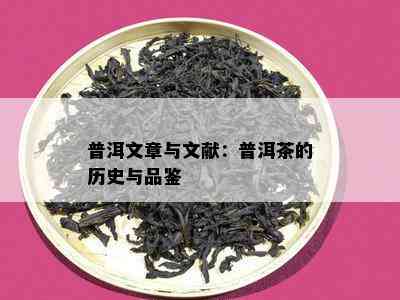 普洱文章与文献：普洱茶的历史与品鉴